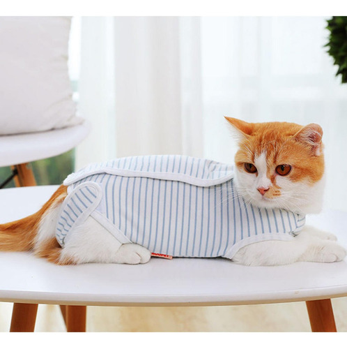 Trajes De Recuperación De Gatos Después De La Cirugía Use