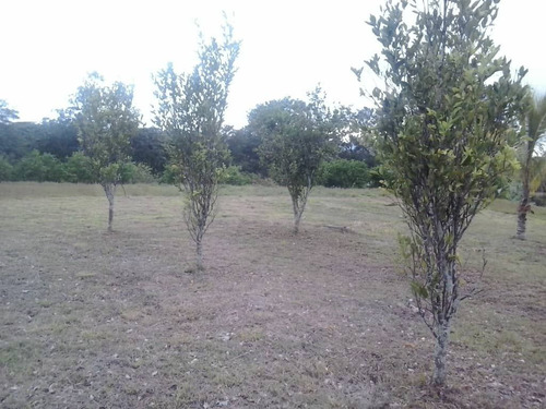 Venta Casa Estilo Campestre Carabobo (mv)