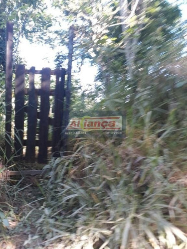 Terreno À Venda, 18383 M² - Monte Negro - Santa Isabel/sp - Ai17651