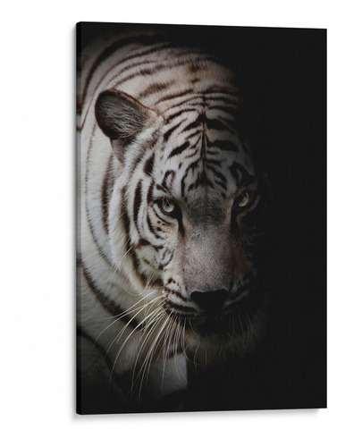 Quadro Decorativo Tigre Branco Tela Canvas 60x90 Cm