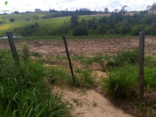 Imagem 23 de 24 de Sitio À Venda Em Sarapuí - St00130 - 69233755