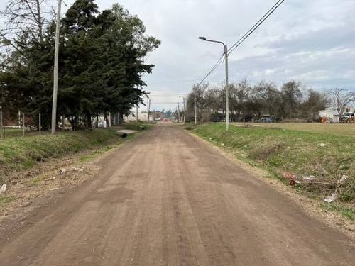 Imagen 12 de 14 de Terreno - Cañuelas