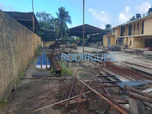 Imagem 16 de 16 de Terreno À Venda No Caji, Quintas Do Picuaia, Ótimo Para Minha Casa Minha Vida, Com10.000 Metros, Plano, Oportunidade - Te00139