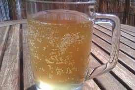 Kefir De Agua 100 % Natural 2 Cuc - Unidad a $15000
