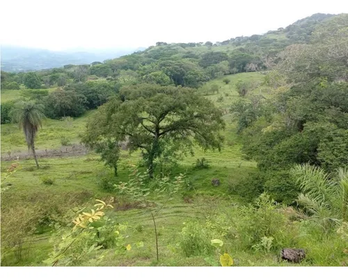 Vendo Lotes En La Pintada Con Vista A Farallones Desde 2.703 M²