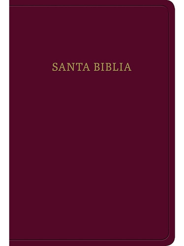 Biblia Letra Grande Tamaño Manual