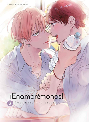 Libro Enamoremonos 2 - Tomo Kurahashi