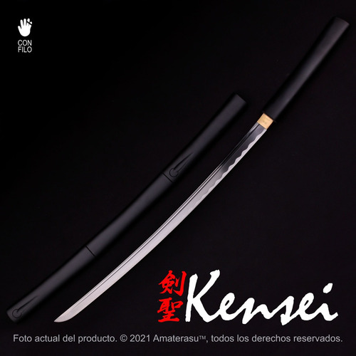 Imagen 2 de 10 de Espada Samurai Katana Kensei Shirasaya Tentomushi Full Tang