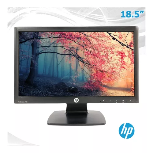 Monitor Hp Pro Display P191