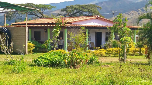 Imagen 10 de 11 de Vendo Espectacular Finca En Chirgua-carabobo (0414-0784274)