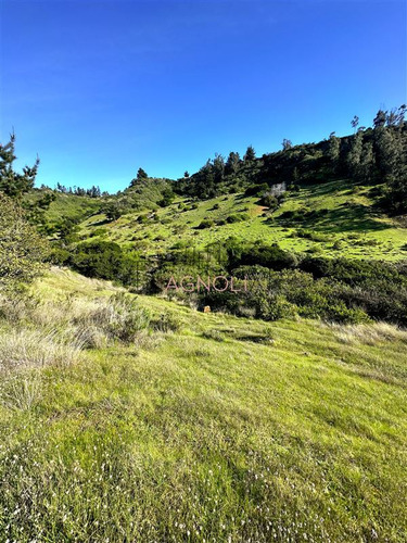 Sitio En Venta Entre Matanzas Y Pupuya