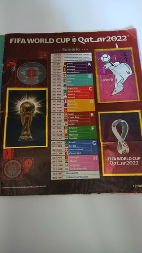 Álbum Figurinhas Copa Do Mundo Qatar 2022 Incompleto (Usado)