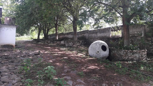 Rancho En Venta En Veracruz Carretera Paso De Ovejas