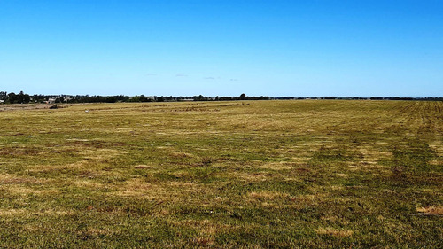 Imagen 11 de 18 de Hermosas Chacras Campos De 3 Hectareas En Tala