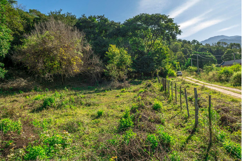 Terreno En Venta Castellanos 4124 M2