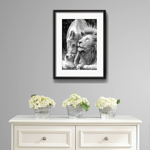 Cuadro Familia De Leones Blanco Y Negro Decoracion Paspartú