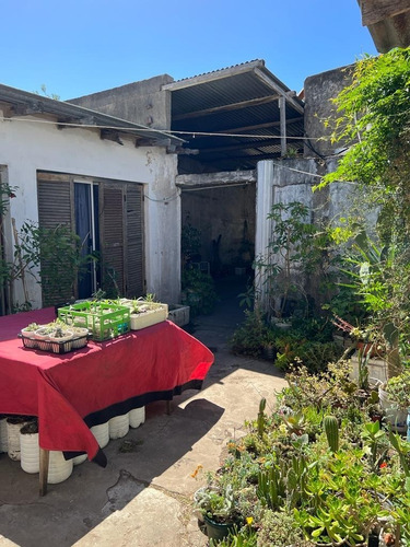 Imagen 12 de 16 de Casa A Refaccionar En Villa Elvira