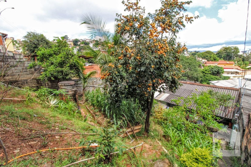 Imagem 14 de 14 de Casa À Venda No Salgado Filho - Código 263323 - 263323