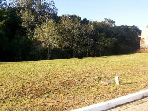 Terreno Na Vila Nova - 479