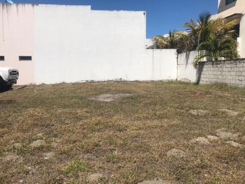 Imagen 5 de 12 de Venta Terreno Fracc. Lomas Residencial