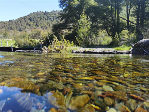 Terreno 7.000 M2 Orilla De Río, Caracoles, Malalcahuello
