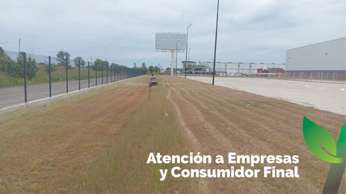 Desmalezados Y Corte De Pasto Grandes Superficies