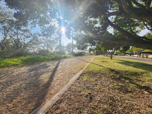Venta Lote San Diego 152 Mz Xiii Con Todos Los Servicios, Vistas Panorámicas, Proyecto Arquitectónico Incluído En Av Principal Fracc Rancho San Diego Ixtapan De La Sal Edomex