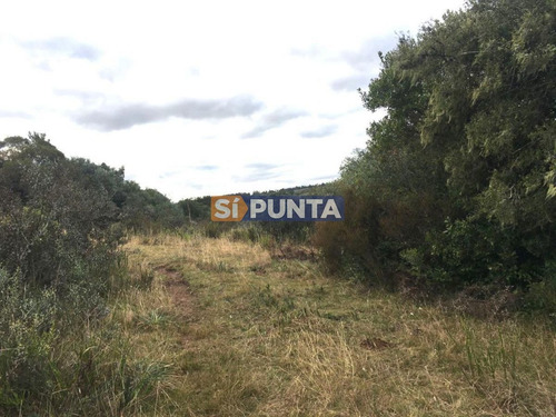 Imagen 3 de 8 de Campo En Venta, Paraje La Coronilla, Maldonado