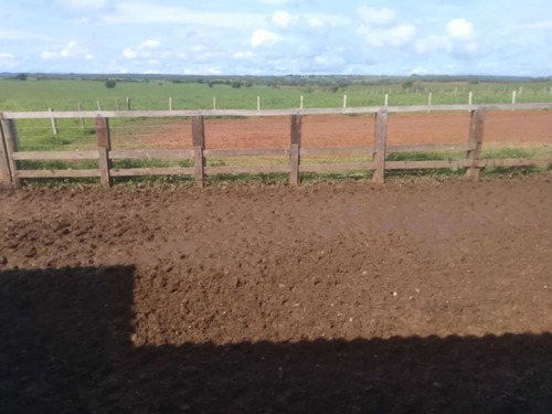 Imagem 7 de 9 de Excelente Fazenda Dupla Aptidão Município Divinopolis Goiás
