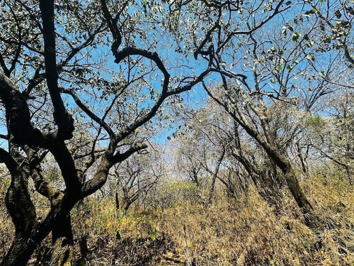 Venta Terreno Comunal Tepoztlan Morelos