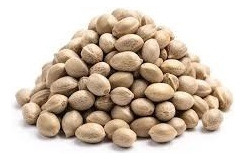 Semillas Moby-d (x12) | Bsf Seeds