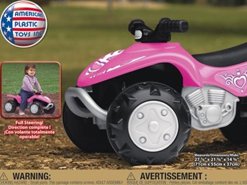 Imagen 4 de 4 de Moto Montable 4 Ruedas Quad Rider