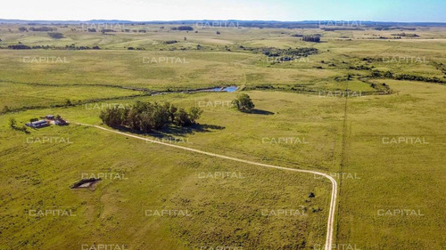 Muy Buena Chacra En Venta - Ruta 9 - Ref: 30741