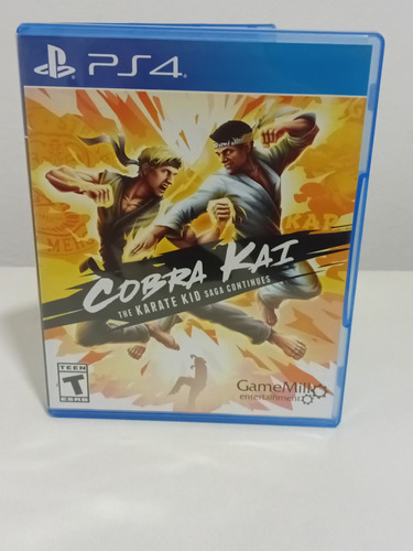 Cobra Kai The Karate Kid Saga Continues Ps4 Maxgamessm (Usado)