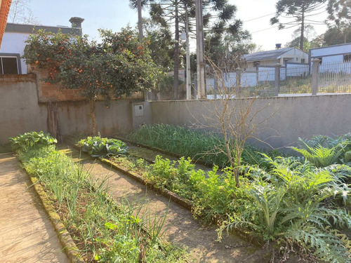 Imagem 15 de 30 de Chácara Com 3 Dormitórios À Venda Com 4105m² Por R$ 255.000,00 No Bairro Rio Abaixo - Fazenda Rio Grande / Pr - Mt686-ch