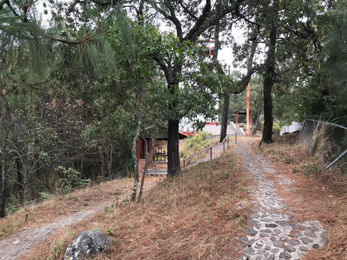 20 Has Turisticas O Maderables En La Manzanilla Jalisco