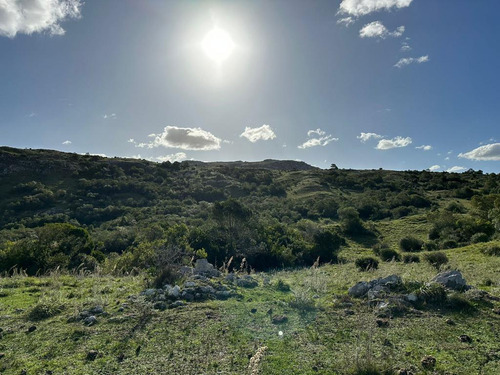 Oportunidad Chacras 5 Hectareas En Maldonado. Sierras De Aigua, Ruta 109. Con Arroyo, Cañadas, Monte Nativo.