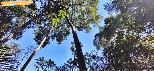 Imagem 8 de 14 de Chácara 3.000m² Fundo Para Represa A Venda Em Joanópolis-sp