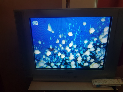 Televisor Samsung De 27 Pulgadas