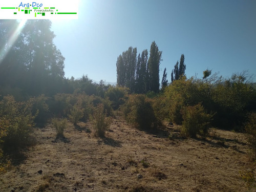 Vendo 4 Hectáreas San Clemente Con Rol Propio Talca