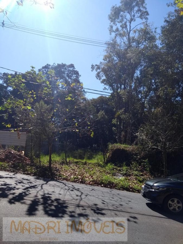 Imagem 8 de 15 de Terreno Para Venda Em Curitiba, Barreirinha - 270_2-1042240