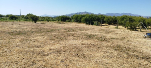 Venta De Parcela De 5.600 M² Totalmente Plano En Peralillo