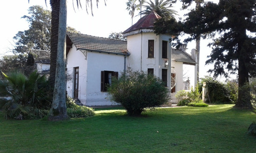 Imagen 15 de 20 de Casa Quinta - Única - En Gualeguay