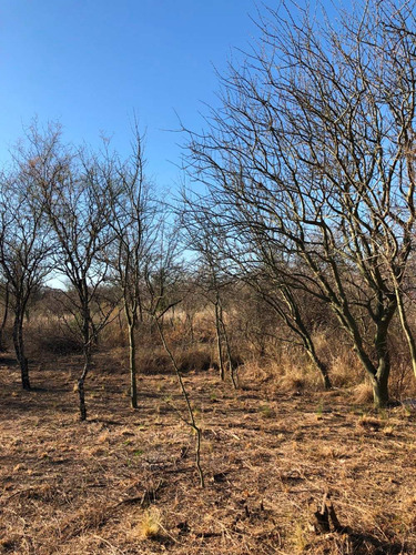 Lote De 1125 M2 En Piedra Pintada - Traslasierra