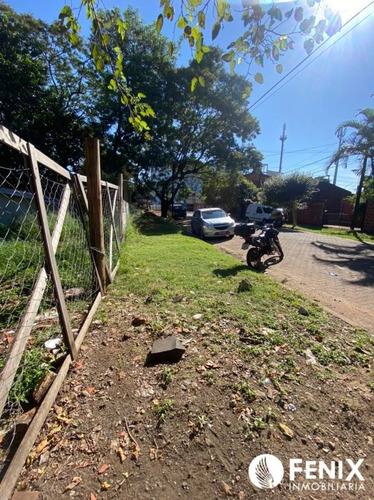 Imagen 5 de 5 de Tf446 Z/avv Urquiza Y Gomez Portiño