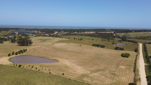 Imagen 20 de 30 de Chacra En Venta, Fraccion De 20 Has En Jose Ignacio (ref: Atm-6766)