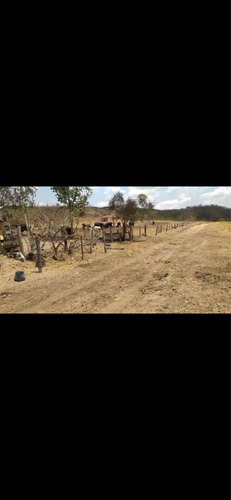 Imagem 11 de 13 de Fazenda Montada Pra Pecuária Município Unai