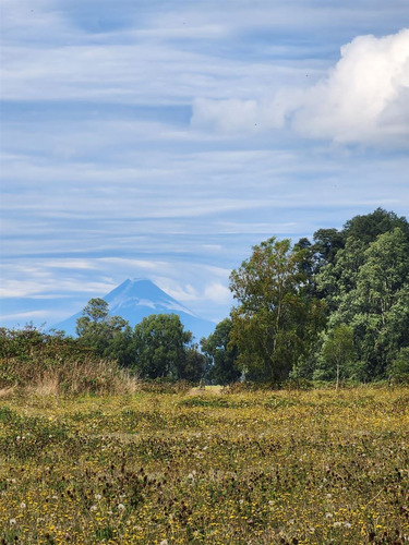 Parcelas En Frutillar, Bosques Y Praderas. Financiamiento