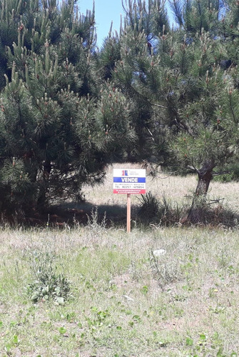 Imagen 12 de 12 de Lote Nueva Atlantis
