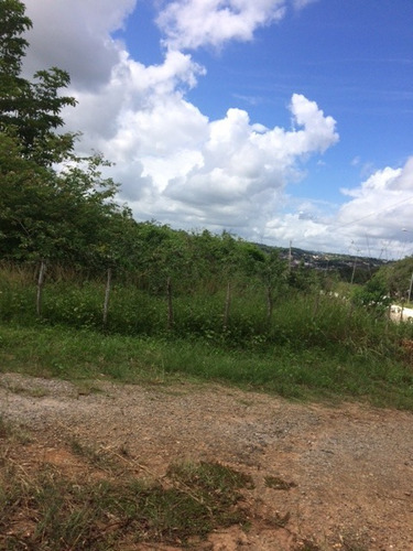 Ótimo Para Minha Casa Minha Vida Ou Lotear, Granja 3,3 Hec, Paudalho, Aceito Imóvel Ou Carro - Gr00014 - 67815598